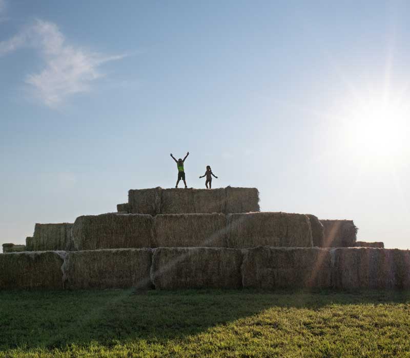 Bale Pile