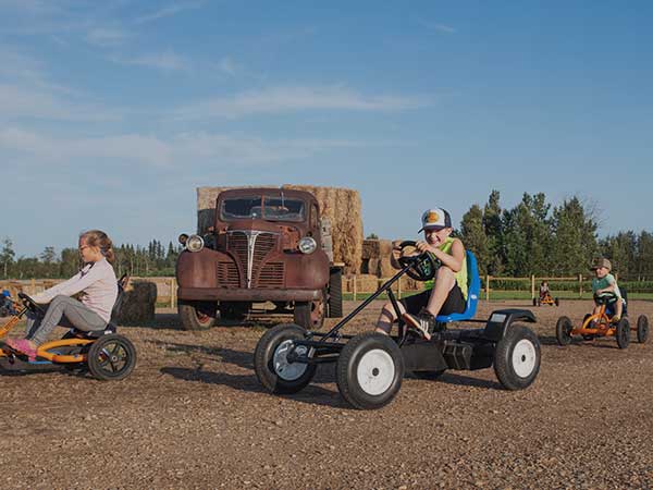 Pedal Carts